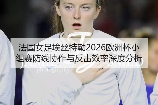 fa-guo-nv-zu-ai-si-te-lei-ou-zhou-bei-xiao-zu-sai-fang-xian-xie-zuo-yu-fan-ji-xiao-lv-shen-du-fen-xi-2-829.jpg